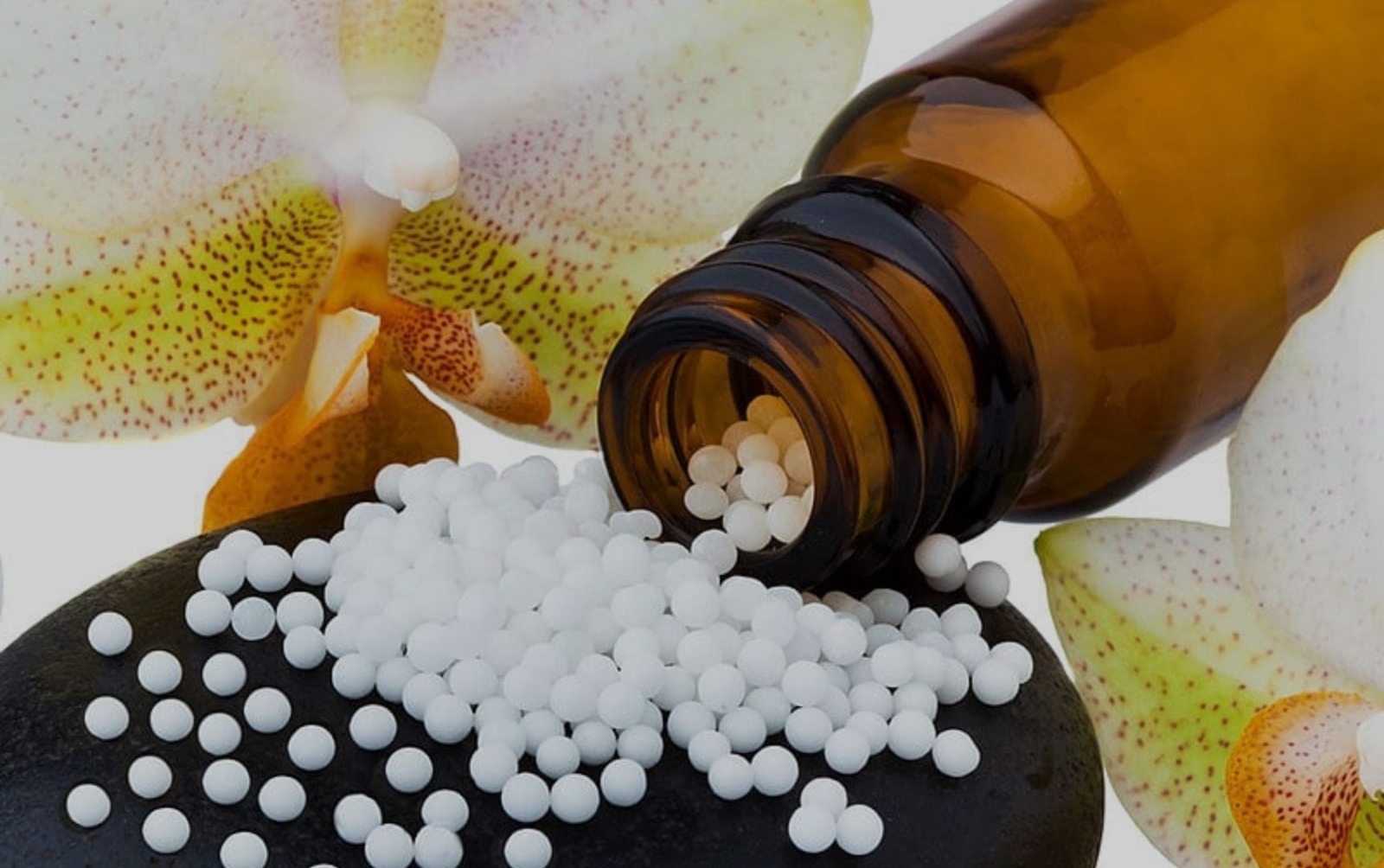 Suplementos